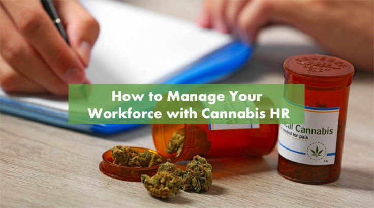 How to Manage Your Workforce with Cannabis HR